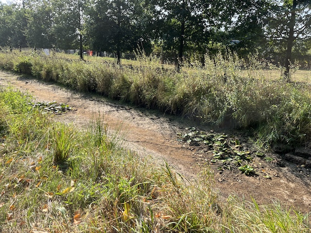 Kunstroute Landoog Renswoude